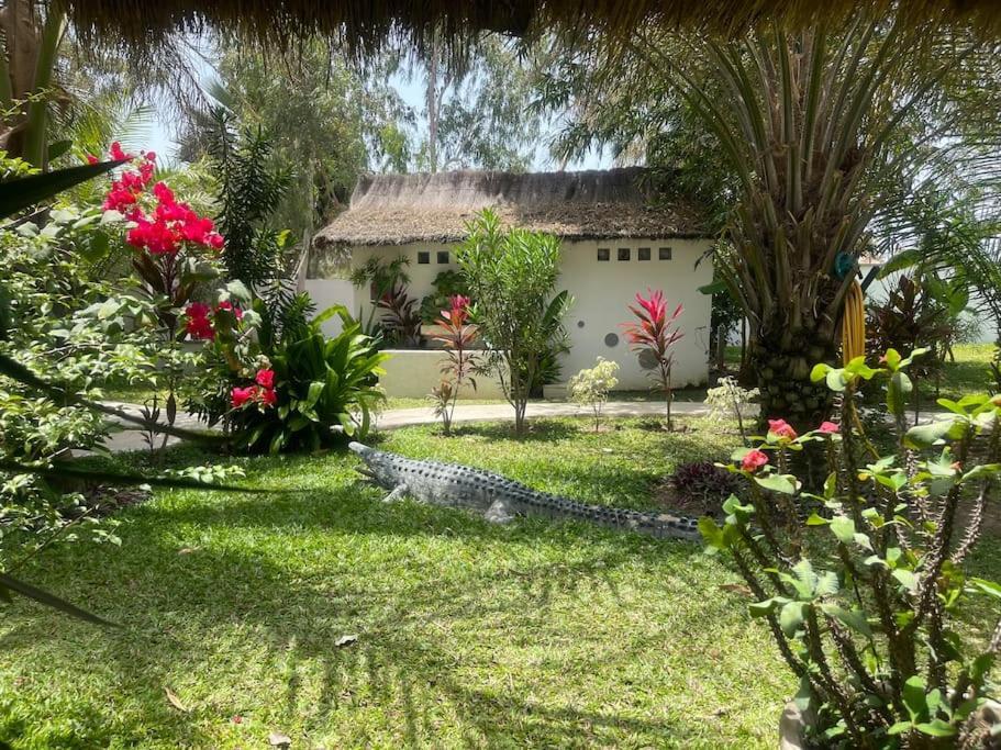 Oasis Club Villa Cap Skirring Exterior photo